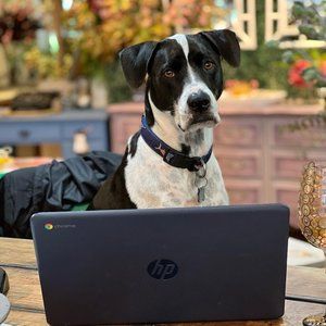 Meet your Posher, Patricia